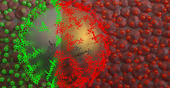 Cientistas da FCT NOVA fizeram bandeira portuguesa com moléculas e nanopartí