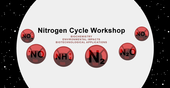 Nitrogen Cycle – 28 de Março de 2018