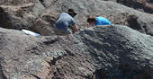 Field work at Lourinhã