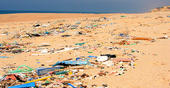 praia com lixo