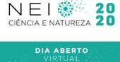 nei dia virtual 2020