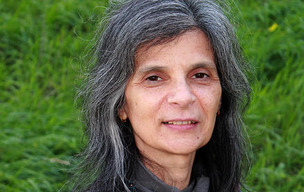 Professor Helena Godinho, FCT NOVA, selected by the British Liquid Crystal Socie