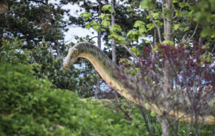 Researchers Octavio Mateus and Emanuel Tschopp discover new dinosaur specie