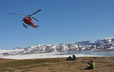 Paleontólogos descobrem nova espécie de peixe pulmonado na Gronelândia, com 210 