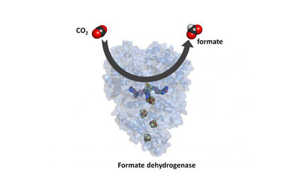 CO2 Ucibio