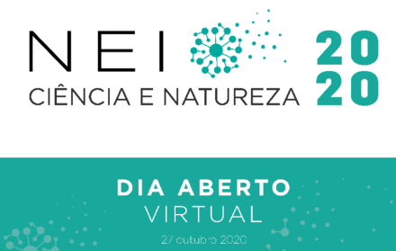 nei dia virtual 2020