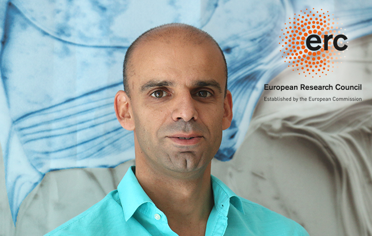 Pedro Barquinha, Professor and Researcher FCT NOVA receives ERC Starting Grant