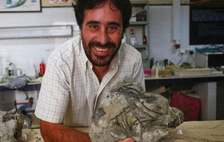 Professor Octávio Mateus discovers plesiosaur fossils with more than 200 million