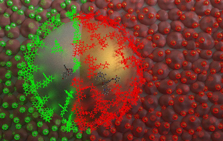 Cientistas da FCT NOVA fizeram bandeira portuguesa com moléculas e nanopartí