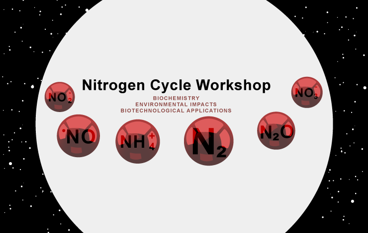Nitrogen Cycle – 28 de Março de 2018