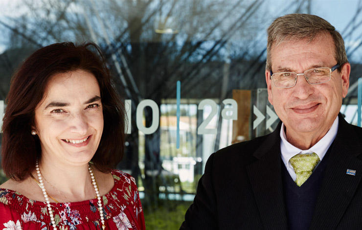 elvira fortunato e rodrigo martins