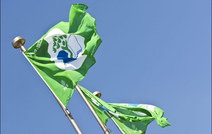 bandeira verde