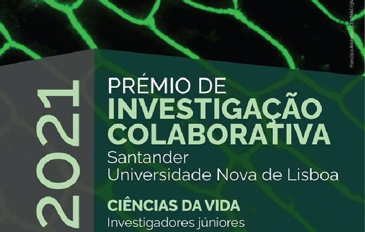 Candidaturas Abertas Ao Premio De Investigacao Colaborativa Santander Nova 21 Nova School Of Science And Technology Fct Nova