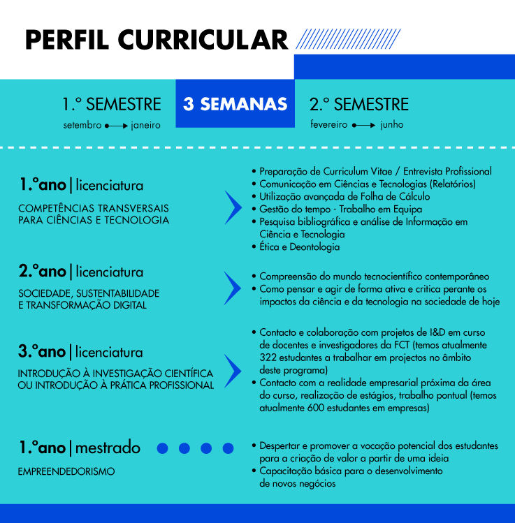 Perfil Curricular